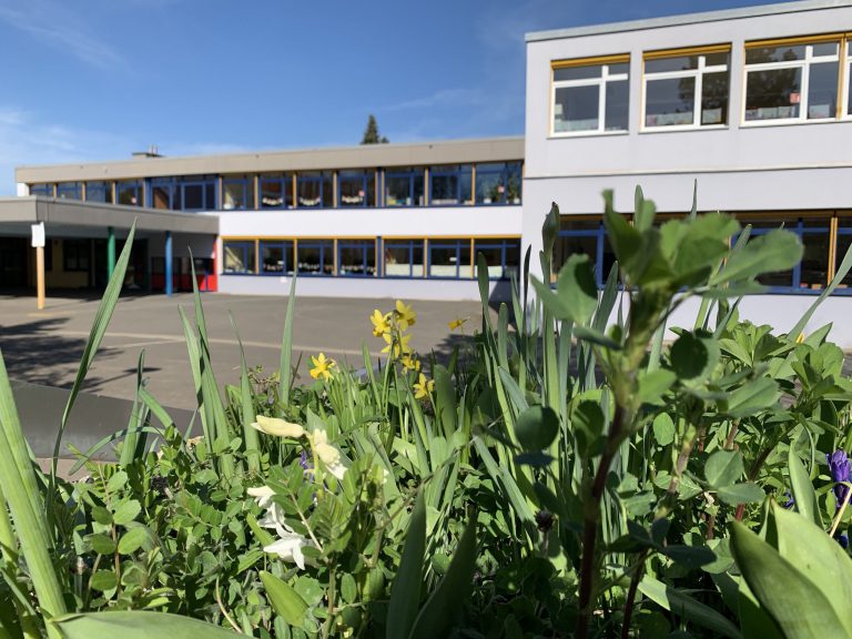 Eindrücke aus der Grundschule Börgersbruch 2